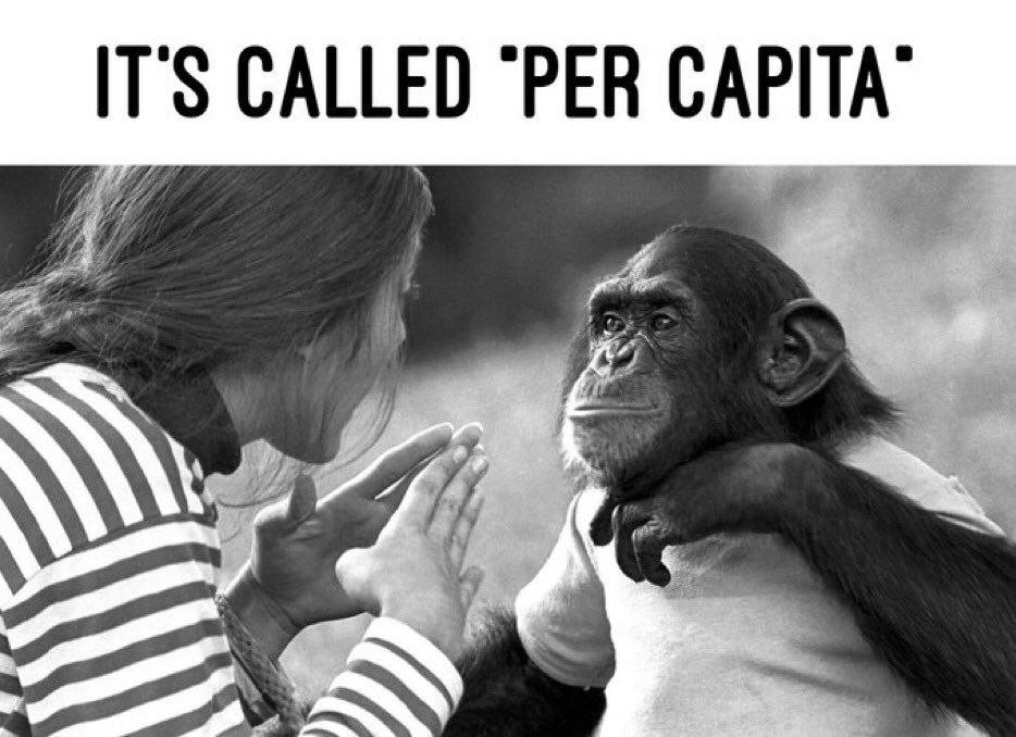 donbeep 🇺🇸🇺🇦 tweet media