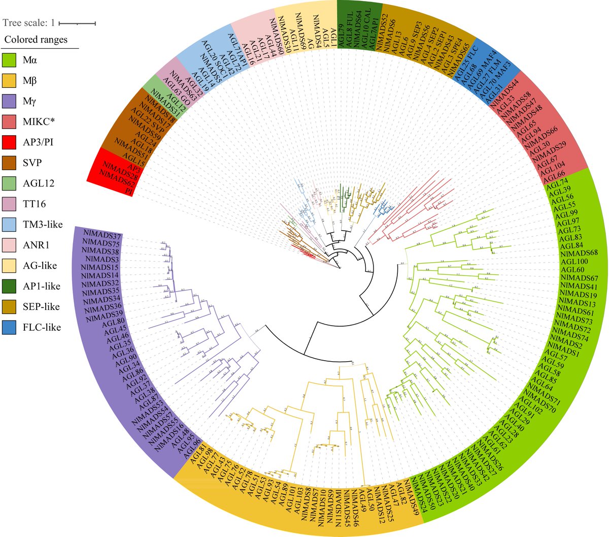 PlantSciRes's tweet photo. #TropicalPlants
Comparative genomics identifies evolutionary divergence and functional gene families shaping tropical plant adaptation
@MaximumAcademic #ComparativeGenomics #PlantEvolution @NewPhyt
Details: https://t.co/uAh8EkJQyU https://t.co/cTHHzC4P4K