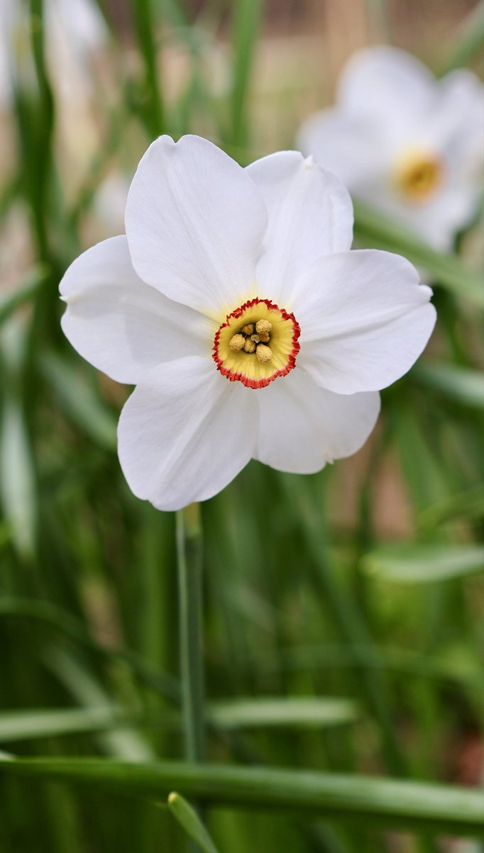 itsme_krrishm's tweet image. When your life is in balance, every moment feels like a gift.

#HappyMonday
#KrrishClick