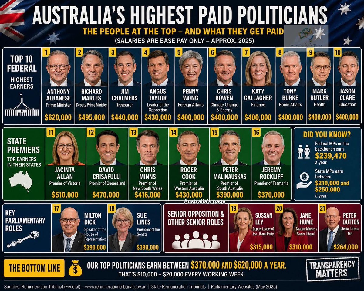 Somewherewithpaws tweet media