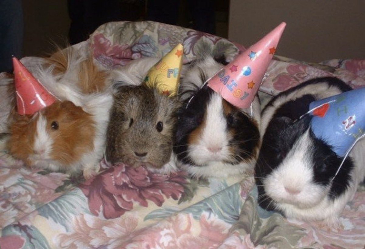 오늘은 제 생일이에요 👯‍♀️