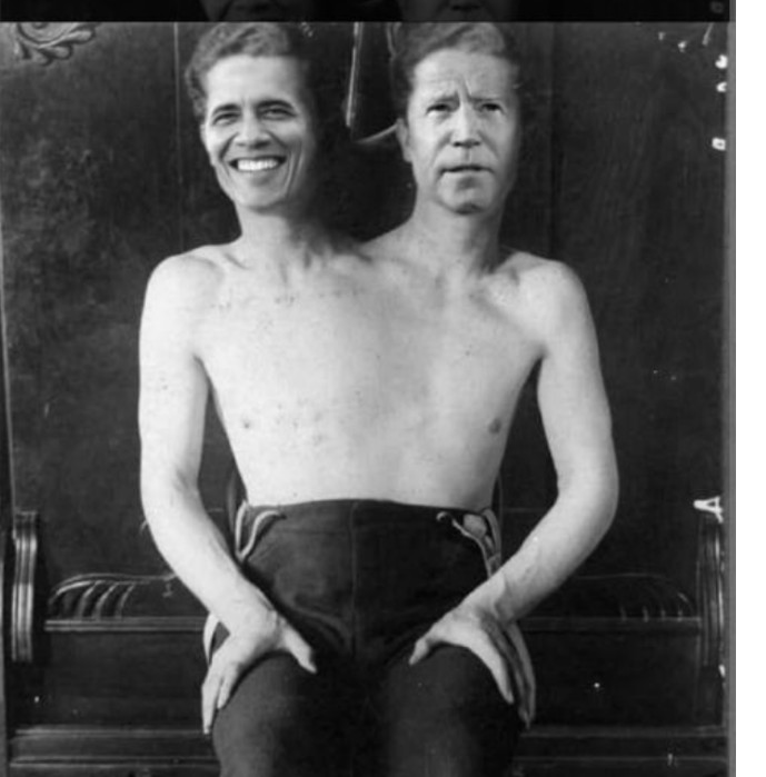 Troublefollows tweet media