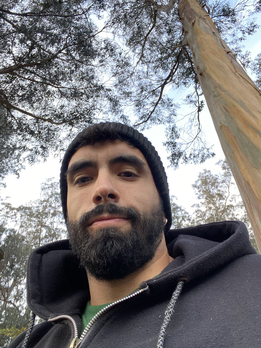 diego tweet media