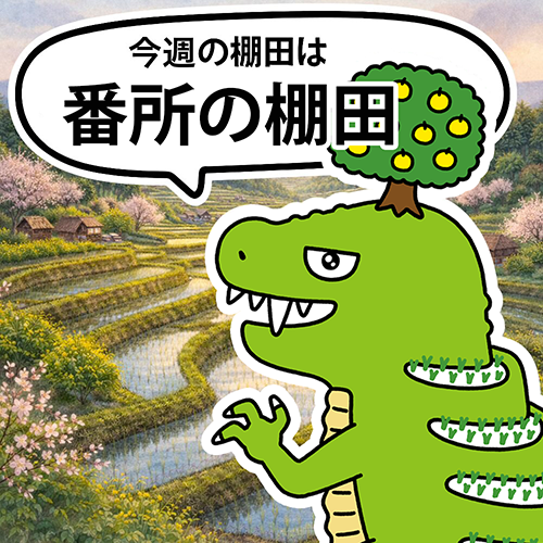 ta_na_dan's tweet photo. 【今週のおすすめ棚田②】
熊本県にある #番所の棚田 は、地域の人たちの手で守られてきた棚田なんダナ。
山の地形を活かした昔ながらの農の形が、今も大切に受け継がれているんダナ🌿
人と自然のつながりが感じられる場所なんダナ〜！

#棚田 #タナダン #今週の棚田 https://t.co/US9RWpsHyF