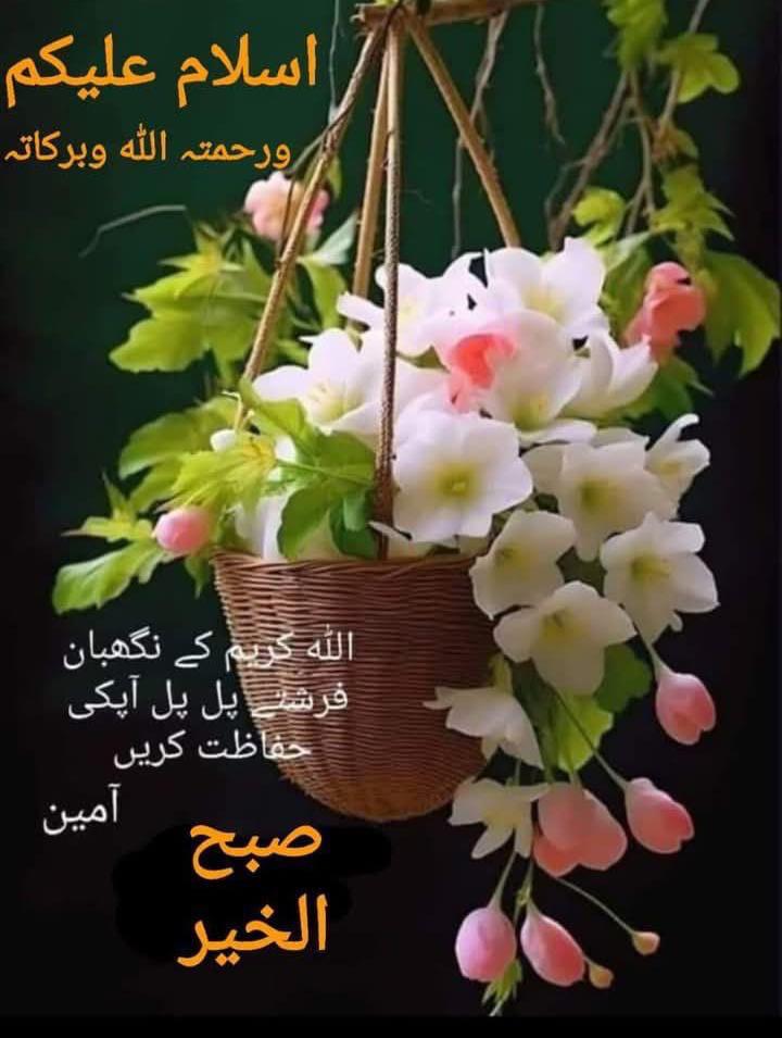 farhan tweet media