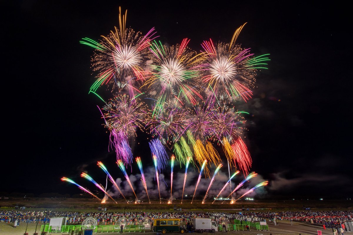 アルス🐤鳥軍団 メイン垢 tweet media