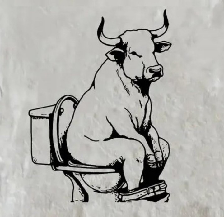 Troublefollows tweet media