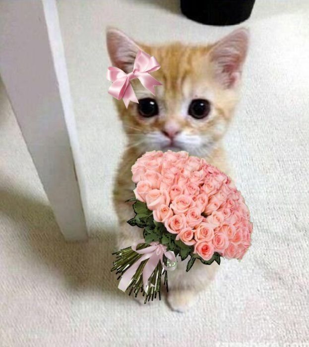 💦 𝑅𝒾𝓂𝓊𝓇𝓊 𝒯𝑒𝓂𝓅𝑒𝓈𝓉 tweet media