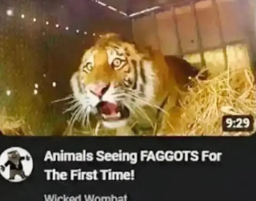 sylveonlover :3 🏳️‍⚧️ tweet media