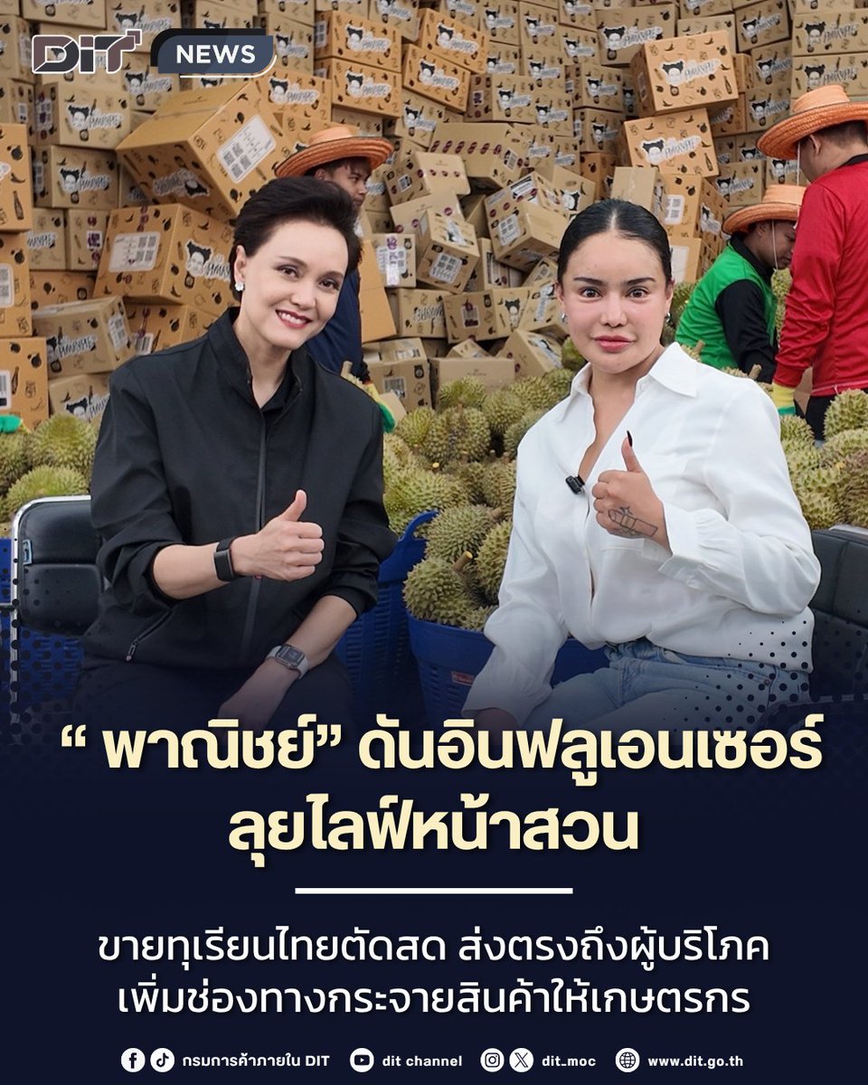 dit_moc's tweet image. “พาณิชย์” ดันอินฟลูเอนเซอร์ลุยไลฟ์หน้าสวน ขายทุเรียนไทยตัดสด ส่งตรงถึงผู้บริโภค เพิ่มช่องทางกระจายสินค้าให้เกษตรกร

อ่านต่อ facebook.com/share/p/1GreKz…

#DIT #กรมการค้าภายใน #ทุเรียน