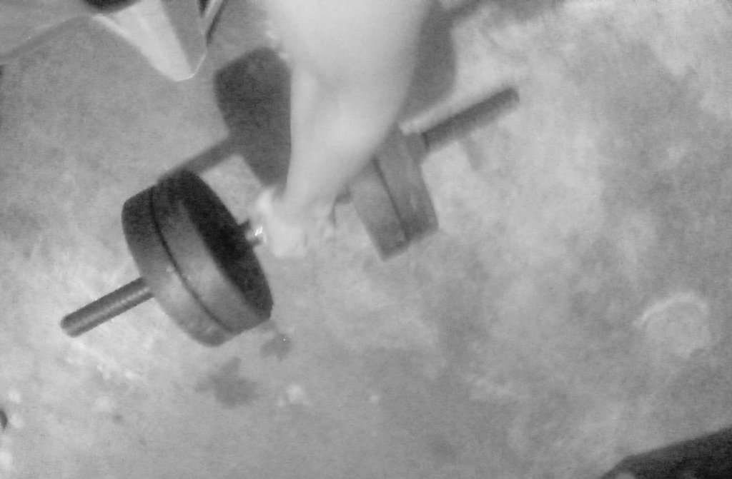 Ryoco 凌 tweet media