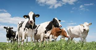 TheNews9999Nine's tweet image. Whyte Pimps said:
Everyone get ready for work tomorrow, 9 to 5 Job, the plantation to make him 99.9% on the dollar. 
Many will find pleasure in working the Job for the next 25yrs

#Atlanta #Georgia 
Disclaimer: The data on this twitter site is not intended for Low IQ Individuals.