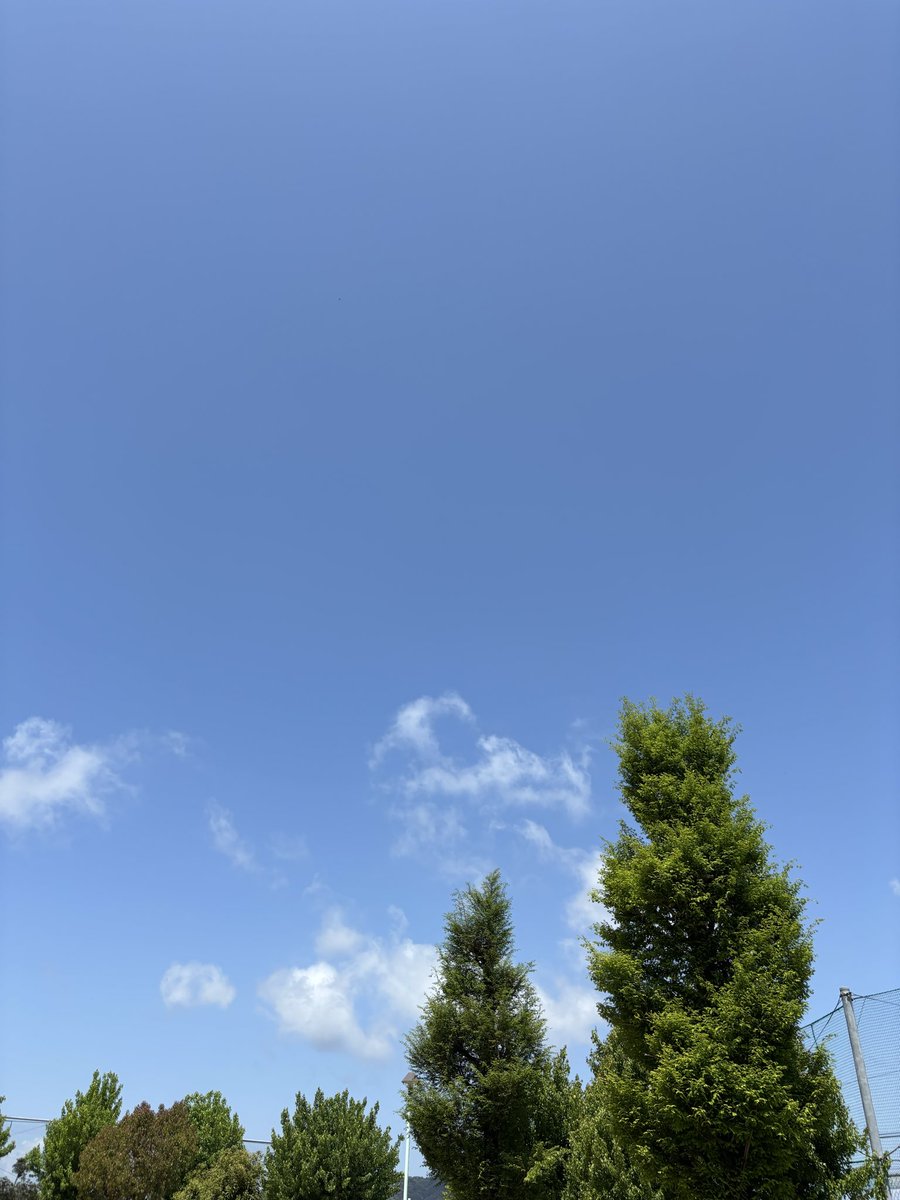 みや tweet media