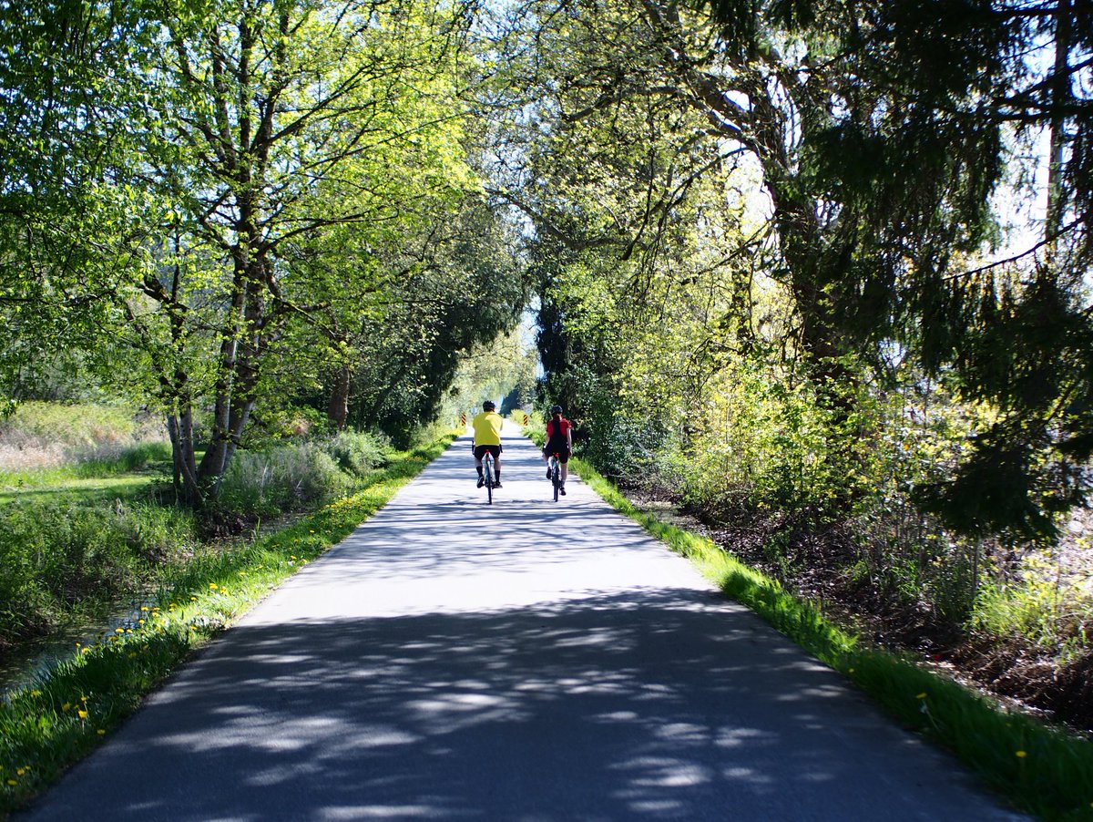 トモBC🇨🇦 tweet media