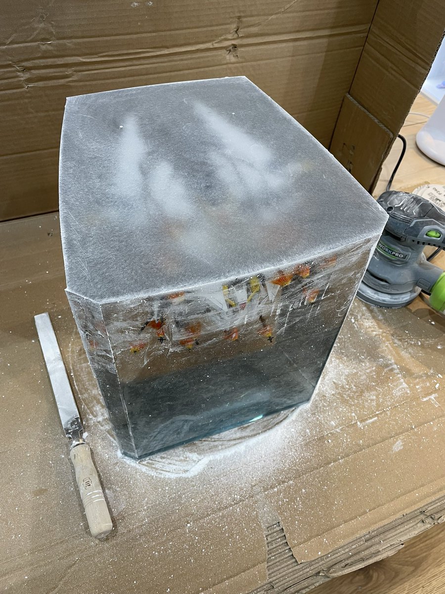 星陵(ホシオカ)ゾエル tweet media