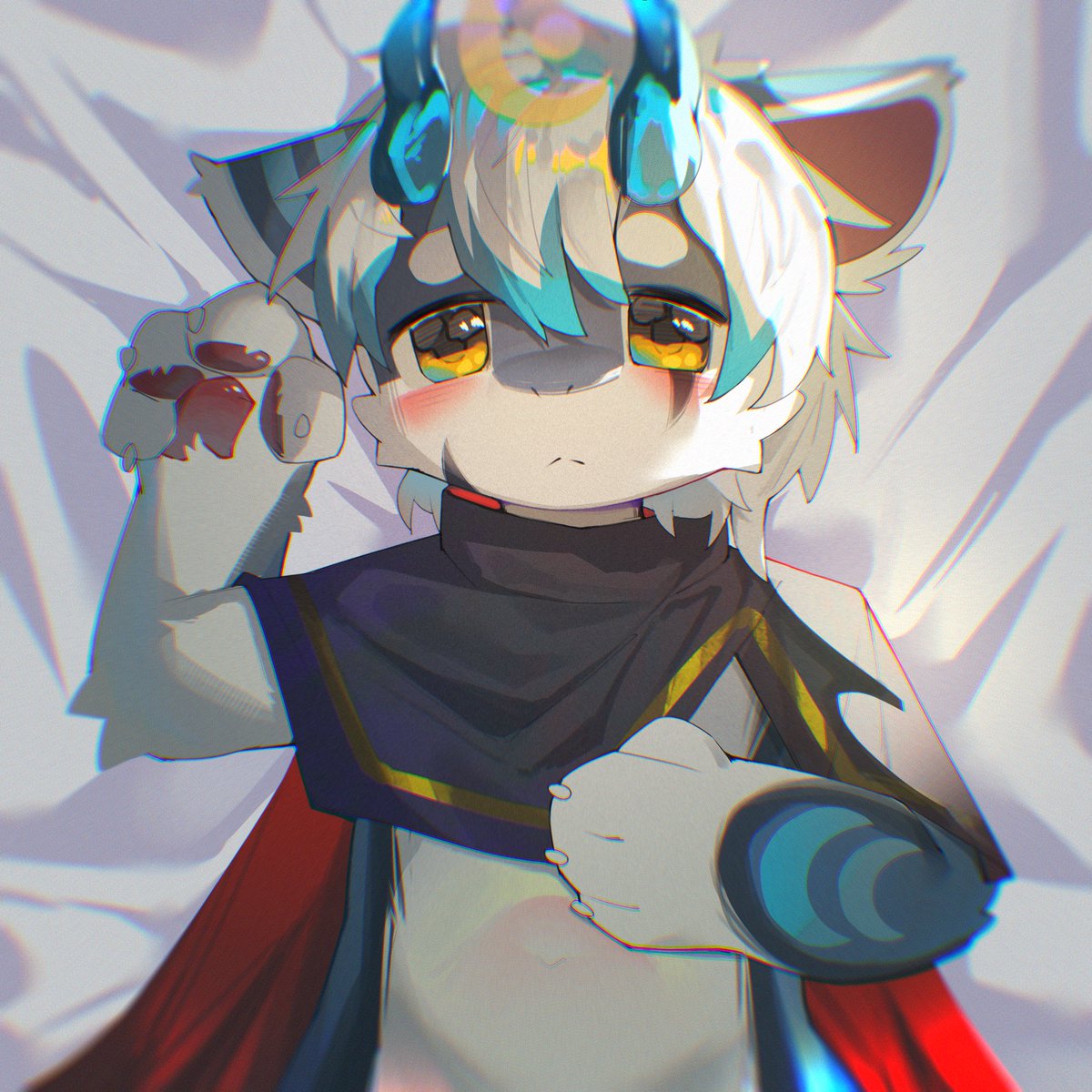 霖霖 tweet media