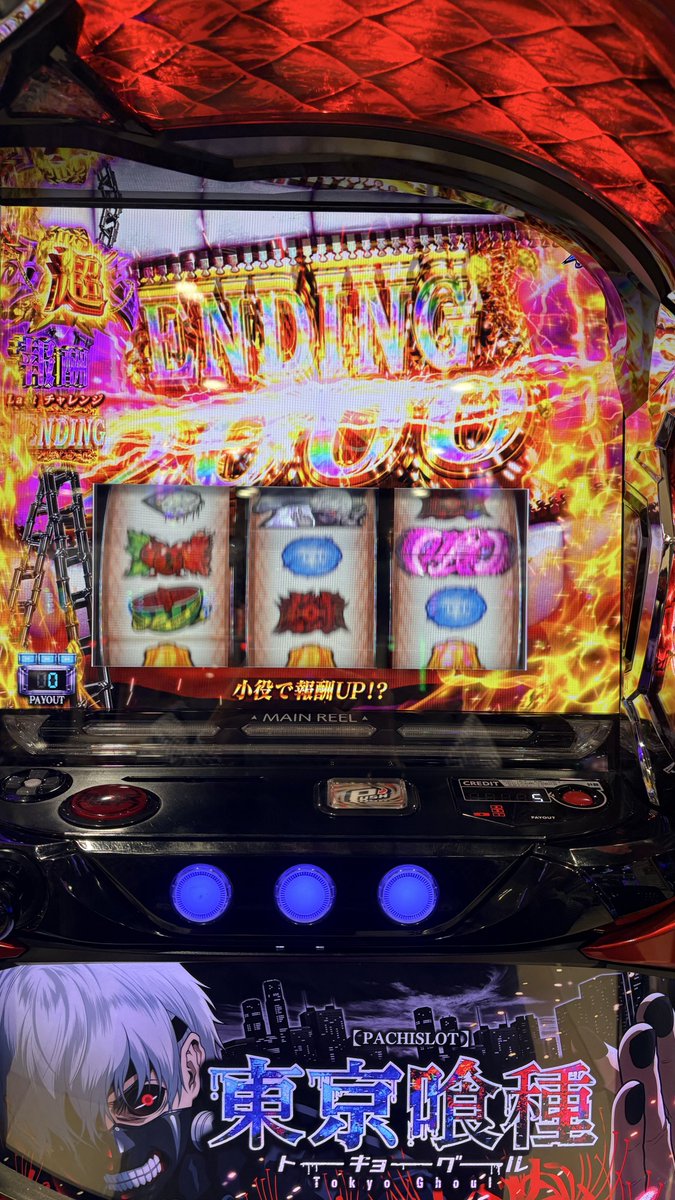 ほわちょ tweet media