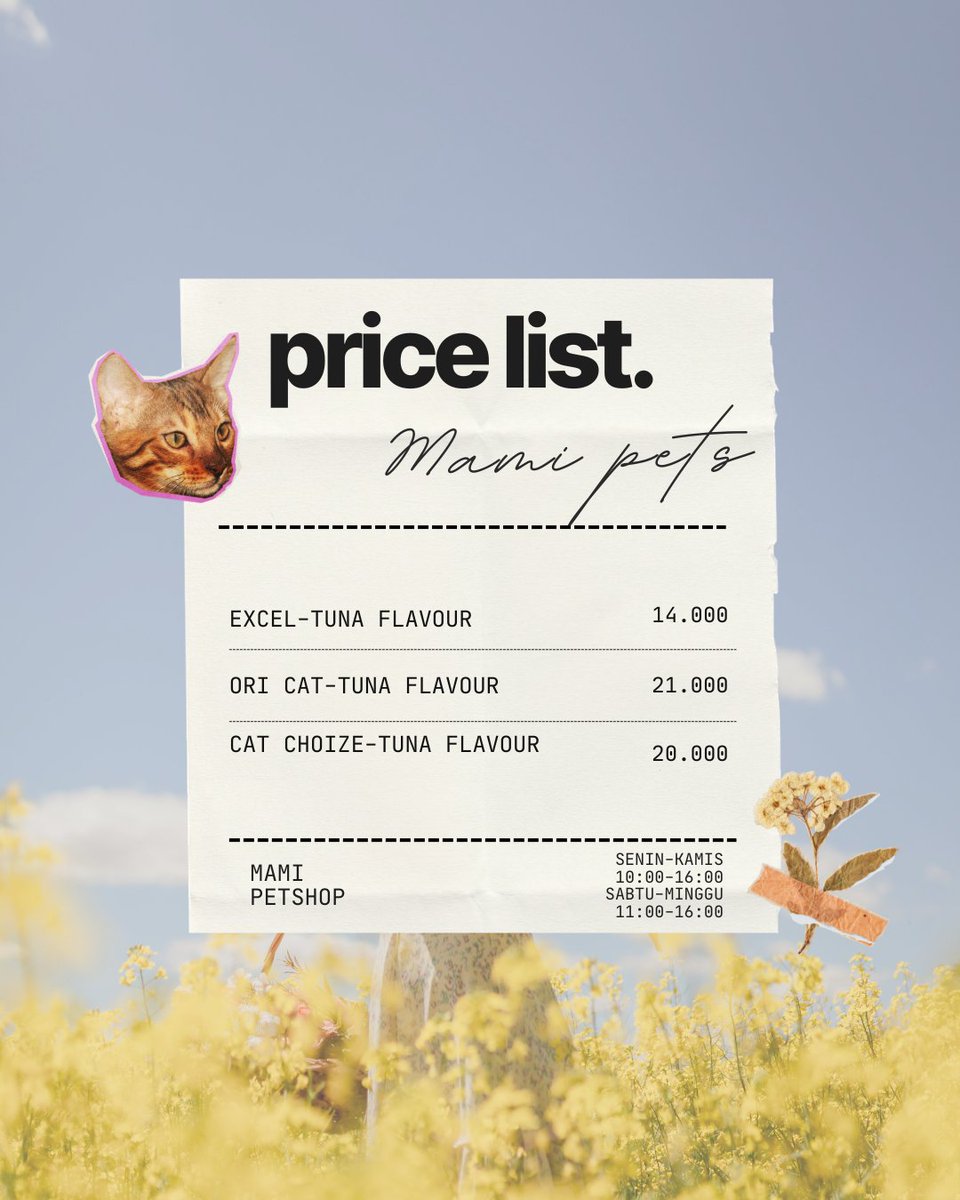 𐙚nana`s tweet media