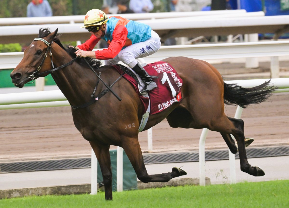 カーインライジング

去年12月の取材で陣営が「引退までにあと20戦走らせたい」と発言。このペースだと引退時の総獲得賞金は3800万$（約60億円）超えの計算に

60億円に相当↓↓
・嵐ラストツアーの経済効果
・アーロン・ジャッジの年俸
・群馬県甘楽町の一般予算
・水原一平が賭博で作った借金額