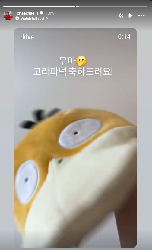 chaewon archive tweet media