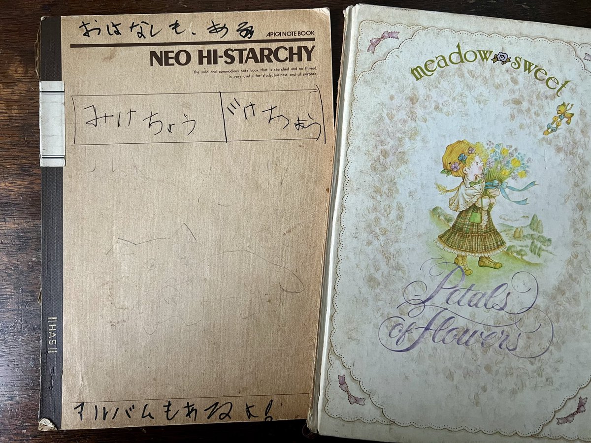 杉浦さやか tweet media