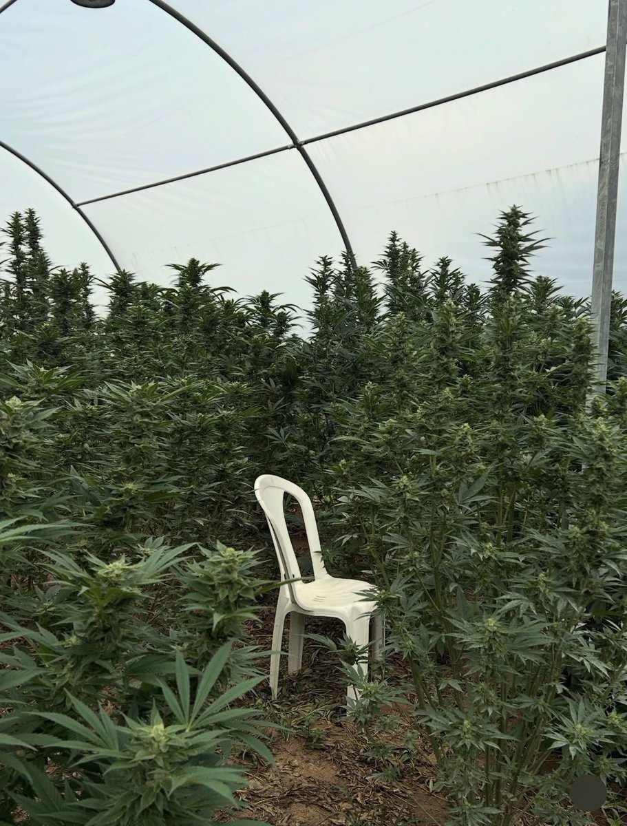 Awesome! tweet media