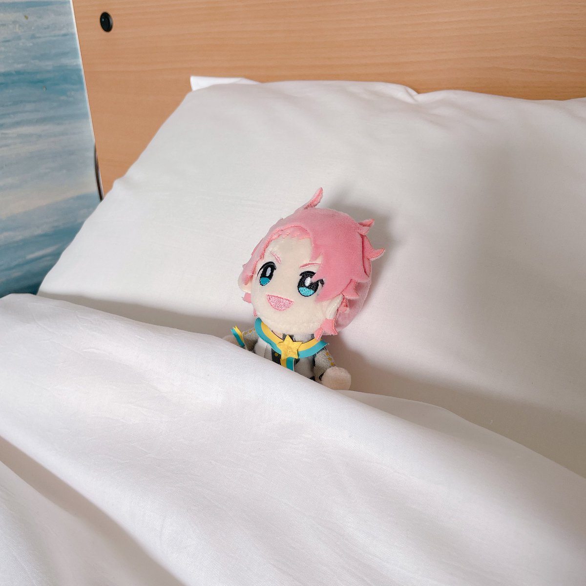 pray_O0O's tweet photo. こちらのアカウントに顔を出せていませんが、かなり元気にしています https://t.co/21f2XiPTl9
