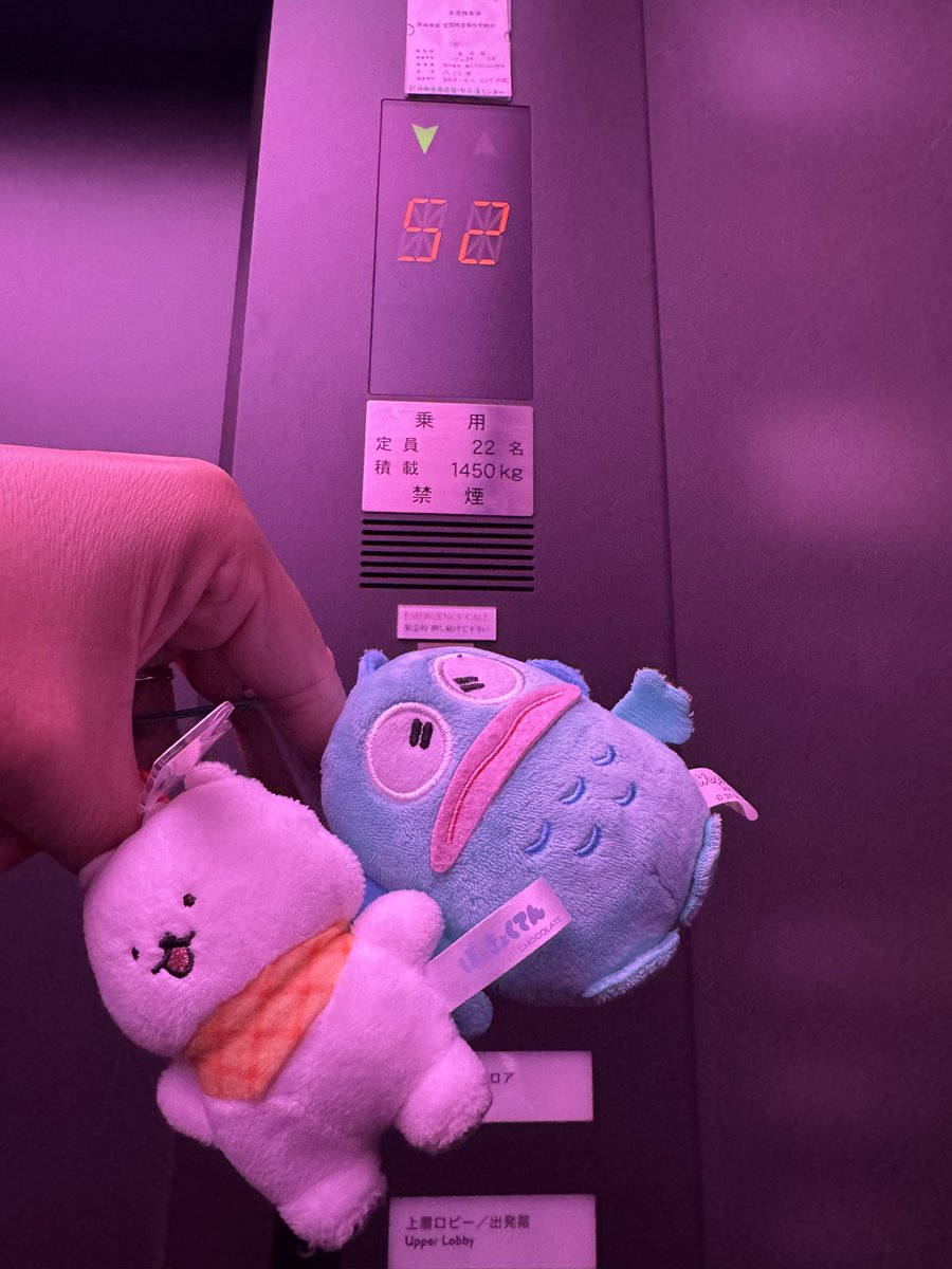 ボニー tweet media