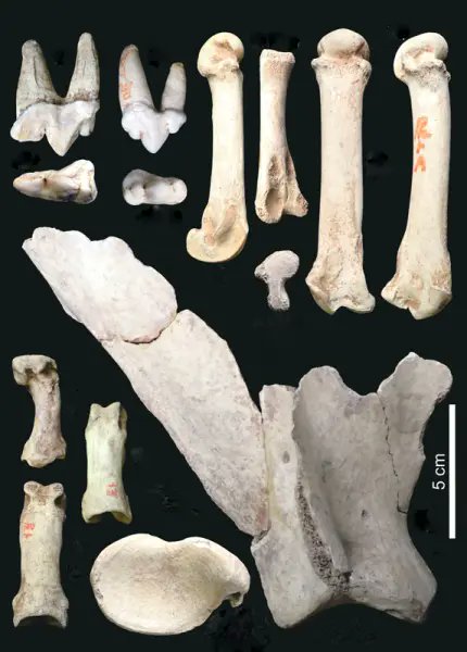 東北ろっけん雑学メディア：NEFT（ネフト）編集部 tweet media