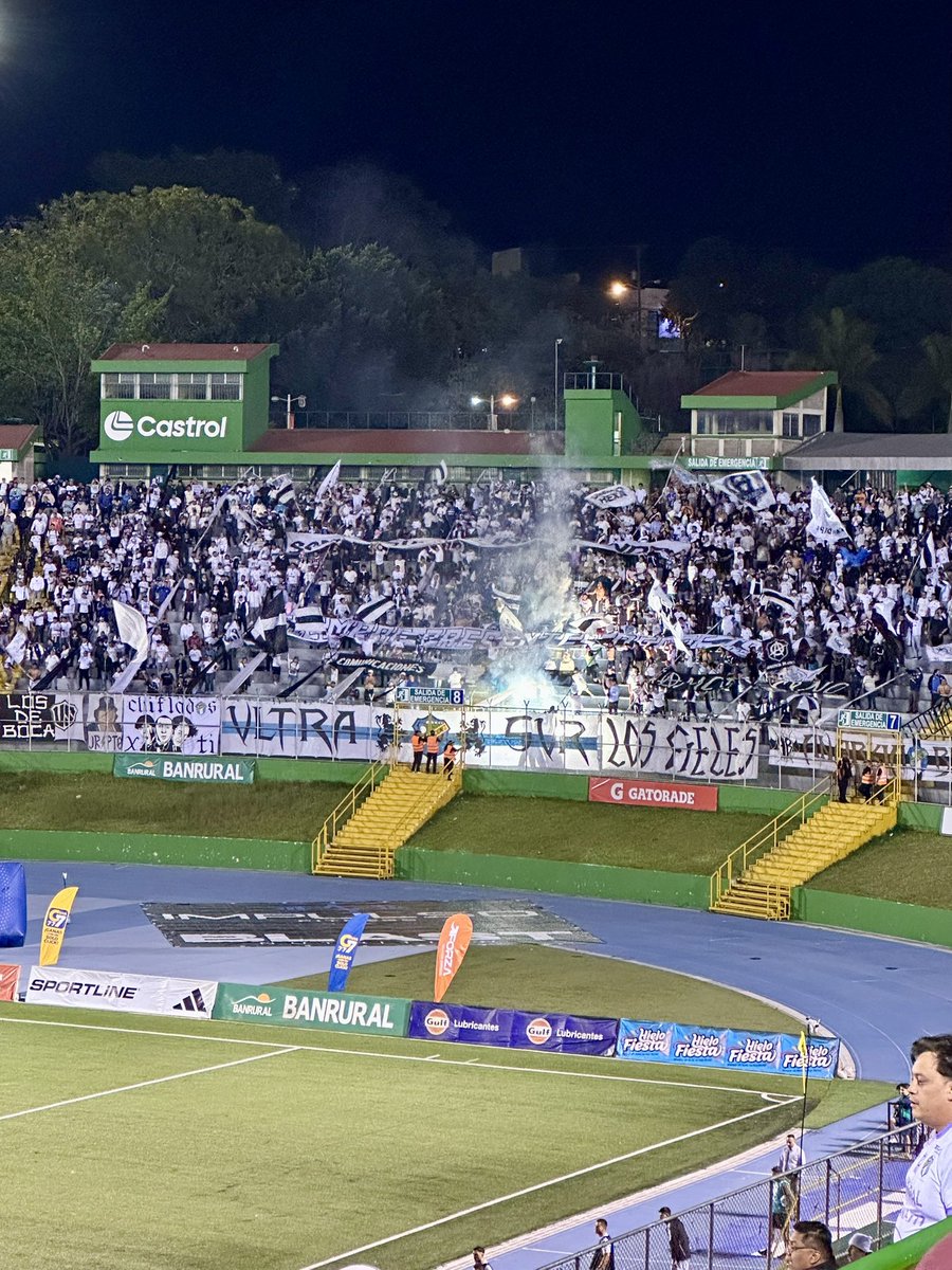 OsoPablo tweet media