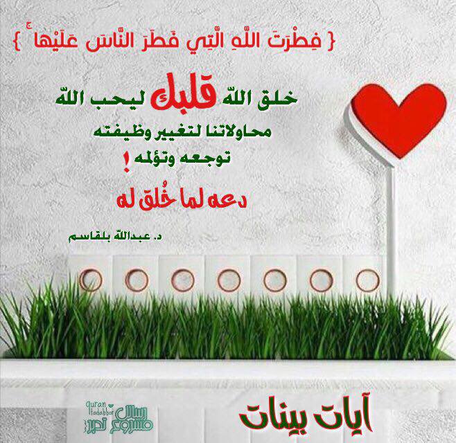 رواسي نجد العذيـھہّ🇸🇦 tweet media