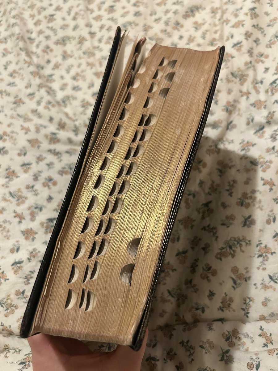 🌷 LIZZIE🌷 tweet media