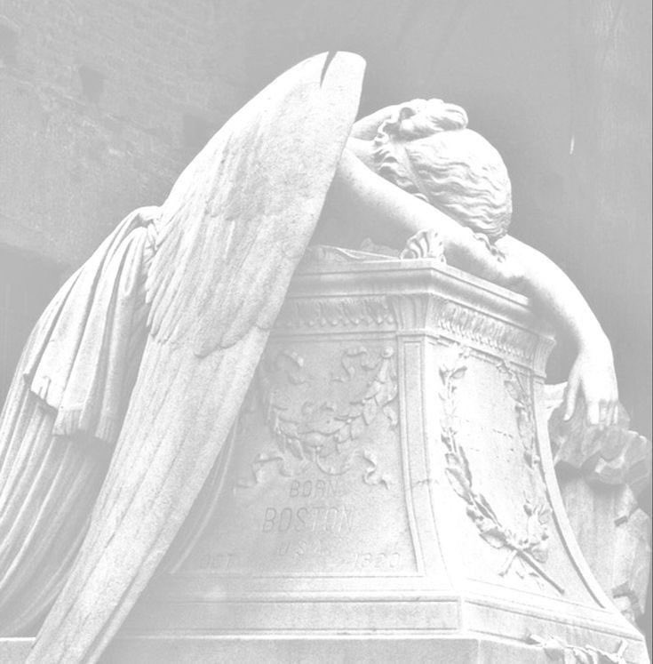 Agape of shedtwt ༄.° tweet media