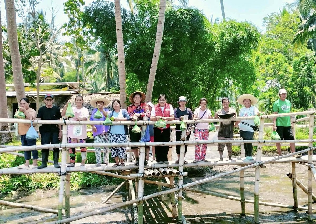 @dswdserves tweet media