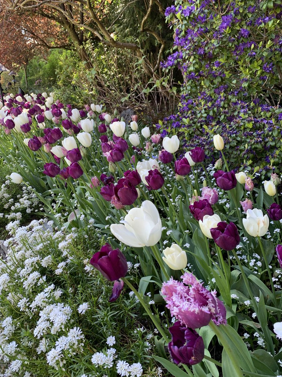 Kate 🟩⚡️ tweet media