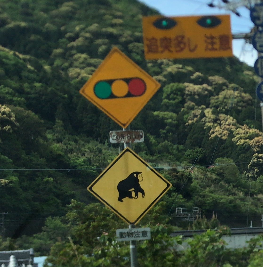 高野山道路 tweet media
