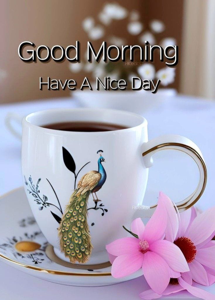 SPatra33's tweet image. Week starts!
Mood change, not well? 
Drink #tea &amp;amp; stay well.
#ChaiPiyoMastJio

सप्ताह शुरू हो गया है!
मूड में बदलाव, तबीयत ठीक नहीं? #चाय पियो और स्वस्थ रहो।
#चायपियोमस्तजियो