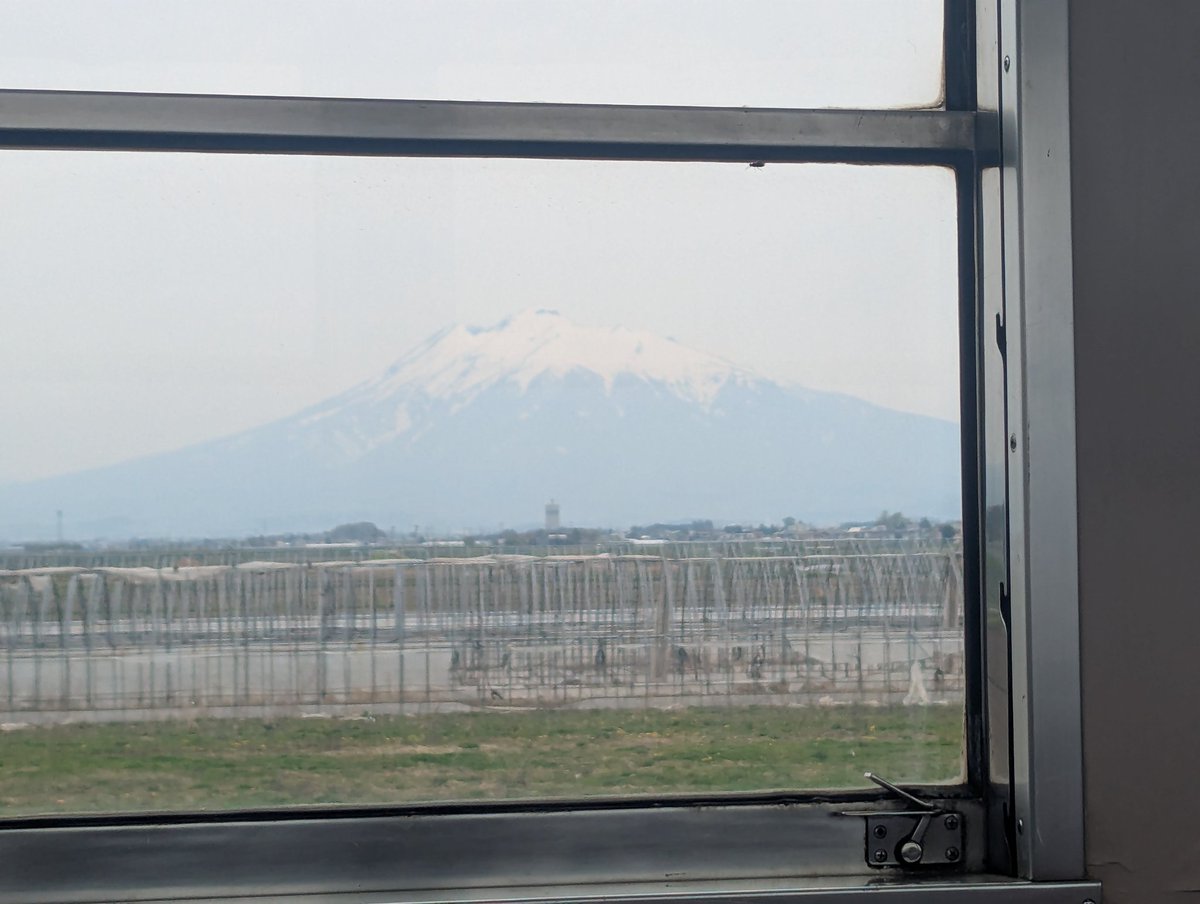 "にょる。" tweet media