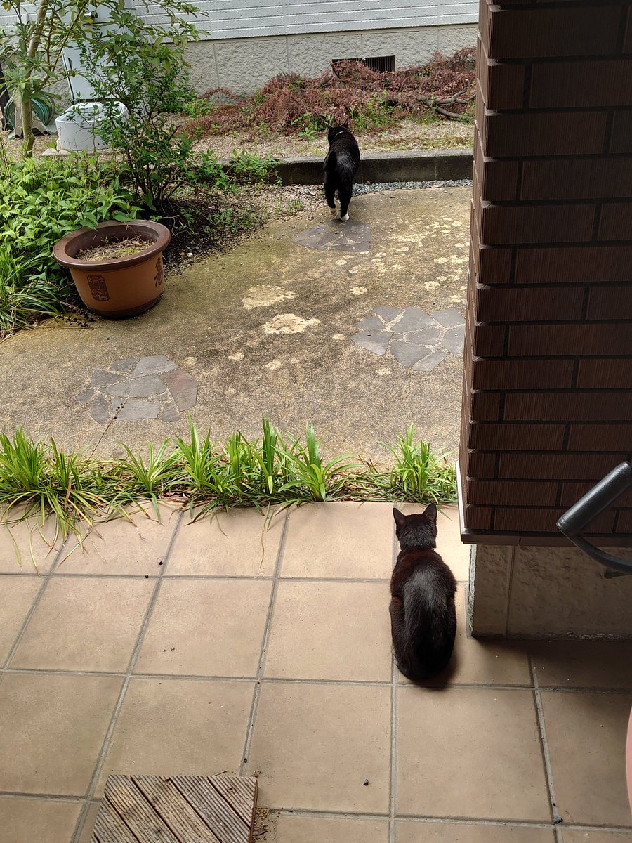 あまべ tweet media