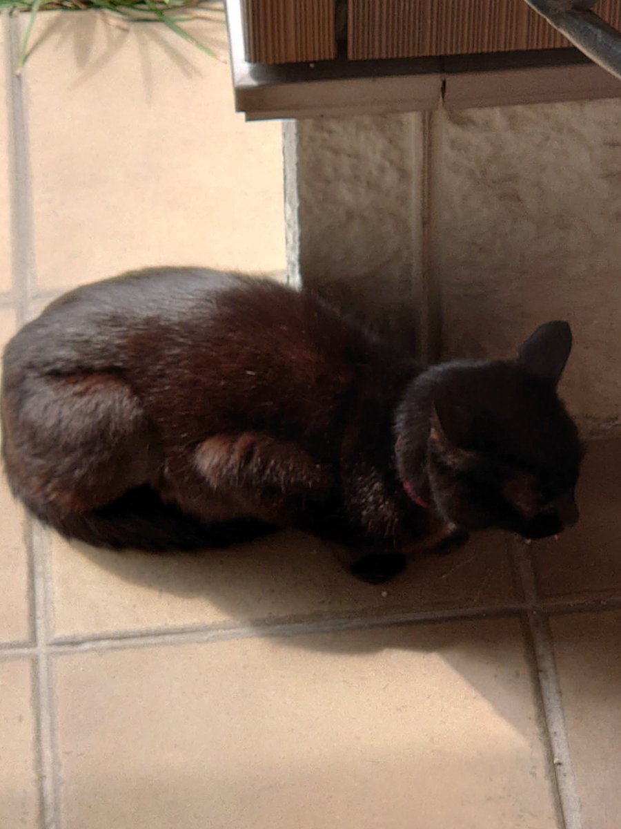 あまべ tweet media