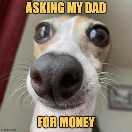 PicturePunches's tweet image. Because I am broke :)
#memes #memepage #funny #funnypictures #dad #money #picturepunches
picturepunches.com/meme/view/1183