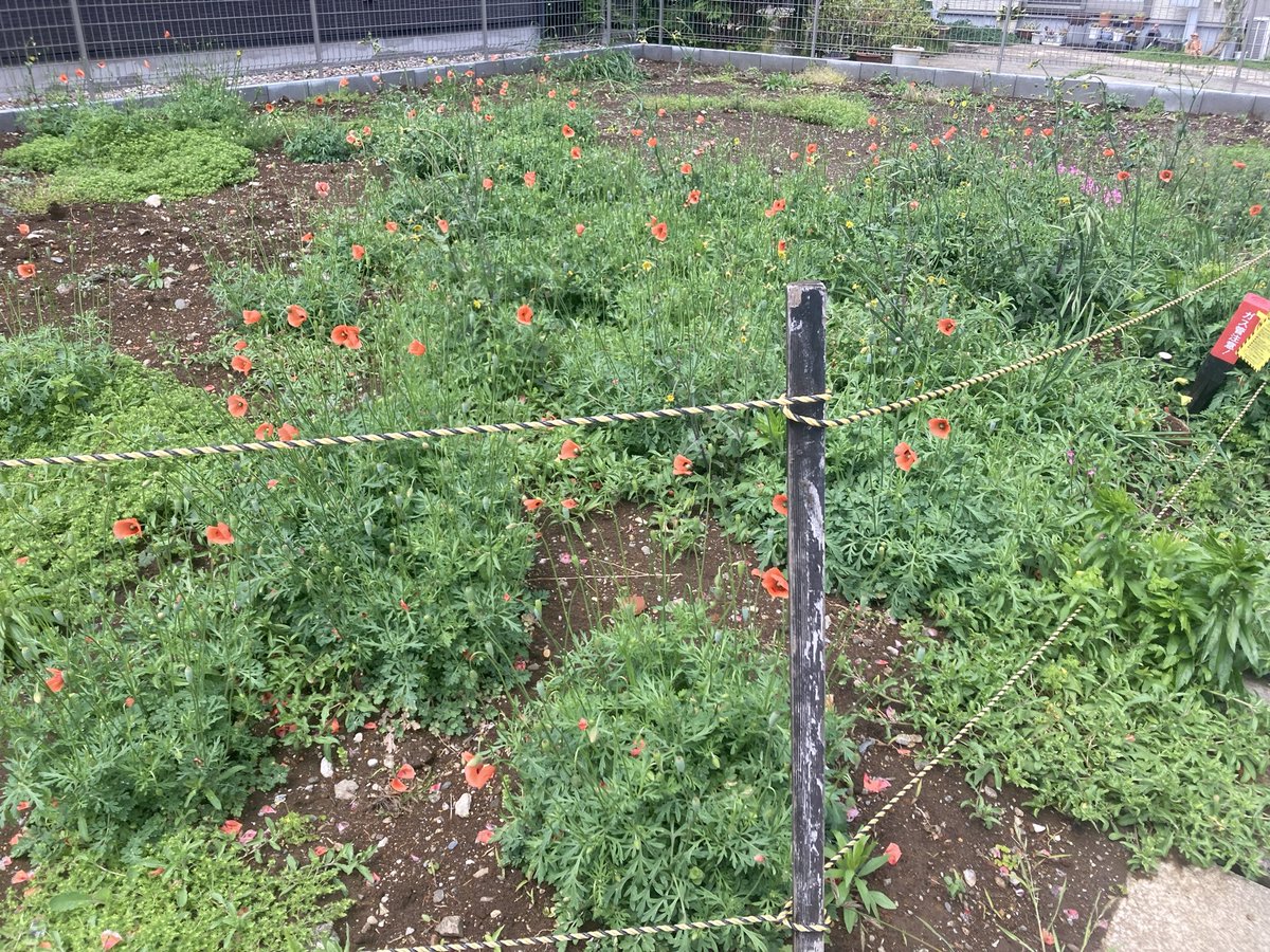 デビ†ʚ(⃔꒪˙ ³˙꒪)⃕ɞ† tweet media