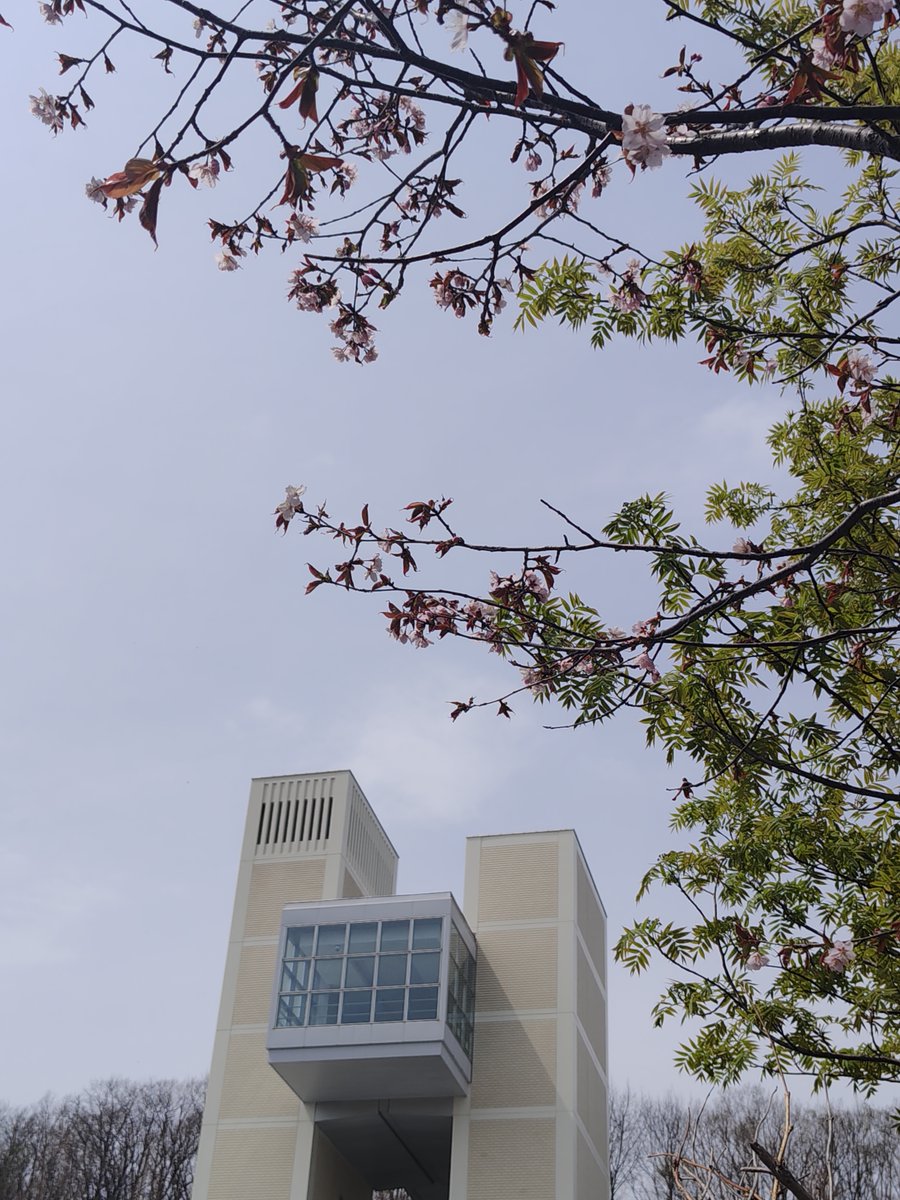 札幌市立大学 tweet media