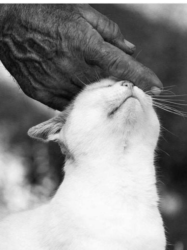 #PalabrasSueltas 🪶 tweet media