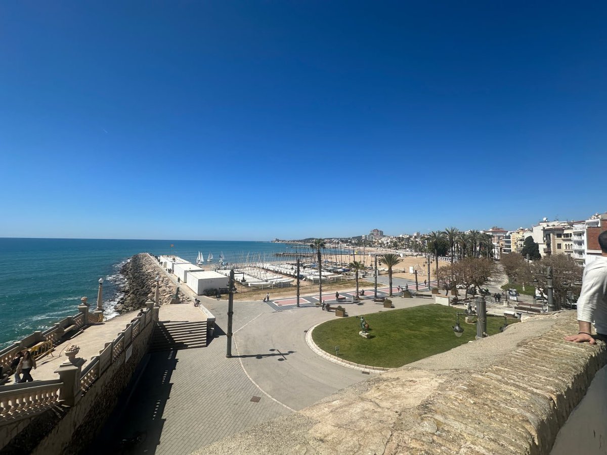 ѕσℓєα мιѕт tweet media