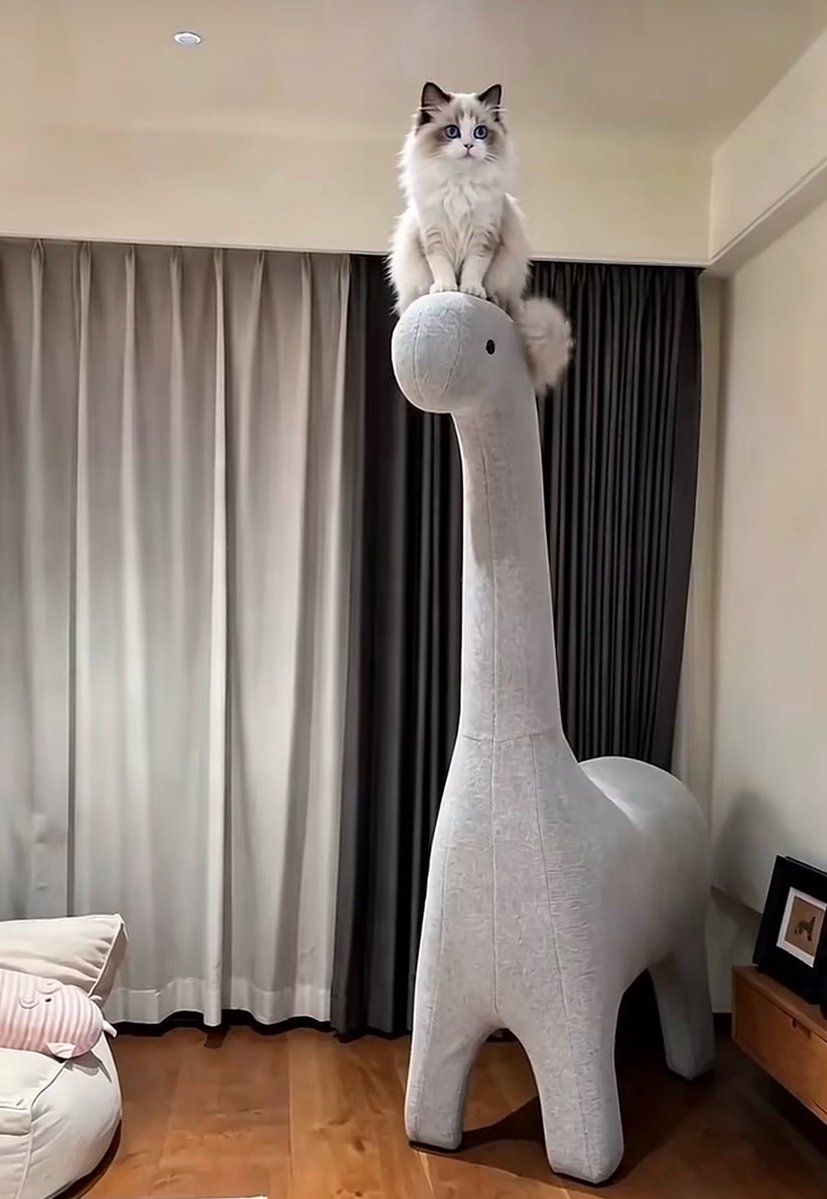 by.pluto tweet media