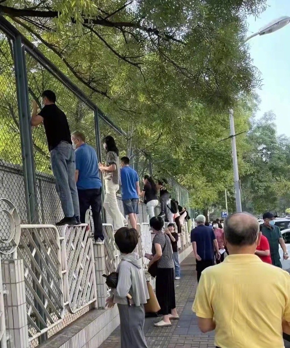 ปิ๊ป tweet media