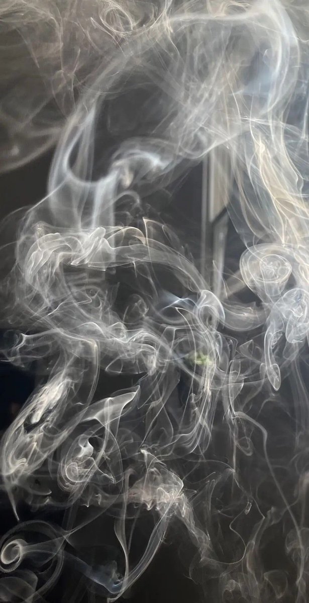 Dream of 988TWT ☼ *･ﾟ✧⋆ 💛 tweet media