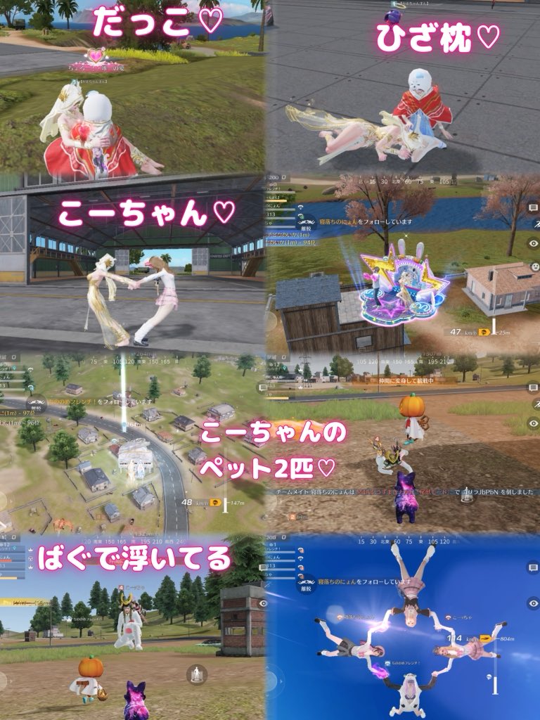 めい🦈🫧 tweet media