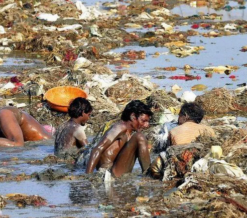 Simio no mata simio 🇨🇱 tweet media